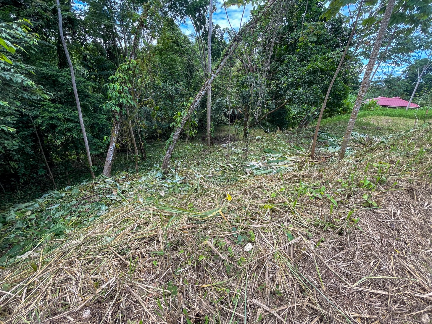 Exquisite Private Lot Bordering River with Mountain View in Ojochal, Phase 10 selected