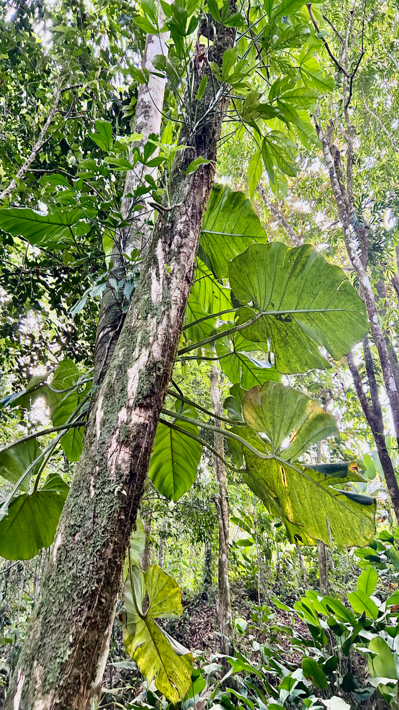 Private River Side Home Only Minutes From The Beach selected