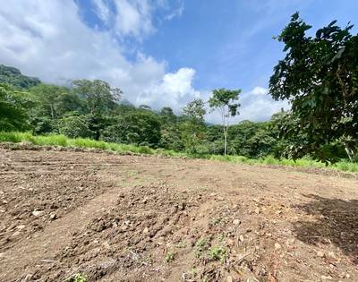 Serene 1.32-Acre Lot with Expansive Mountain Views in Caracara Ridge, Ojochal image 4