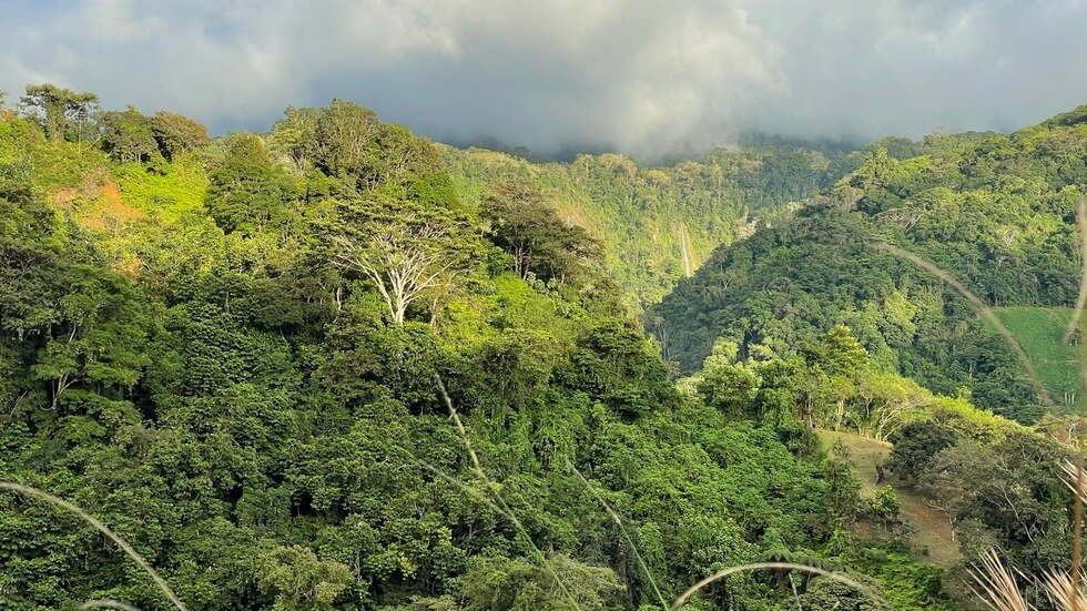 145 Acres With Swimming Holes, Waterfalls And Ocean Views selected