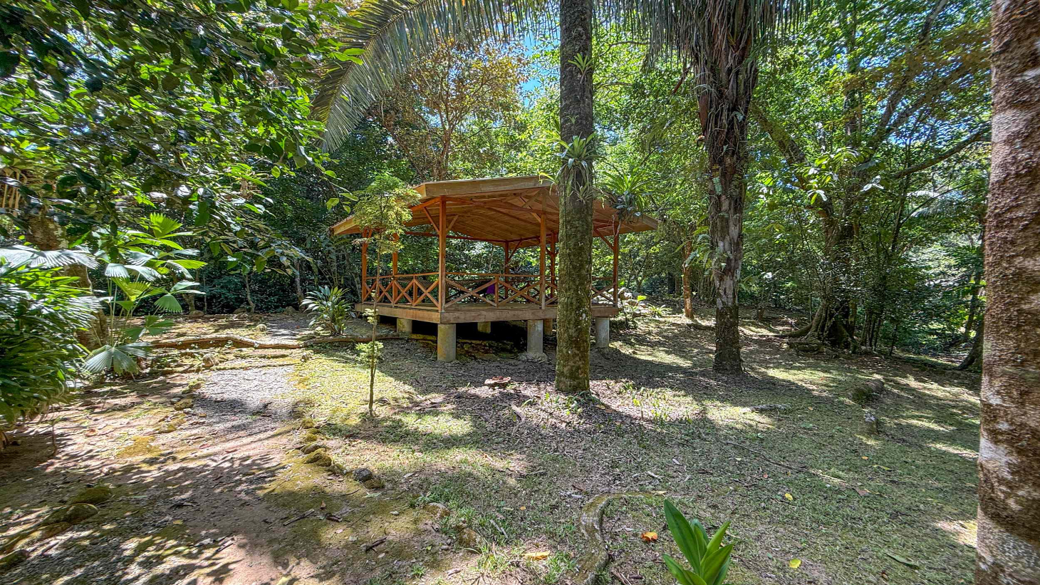 Gorgeous Jungle Hotel with 11 Beds including Owner/Manager Unit, Sparkling Pool & River Setting in Ojochal Costa Rica selected