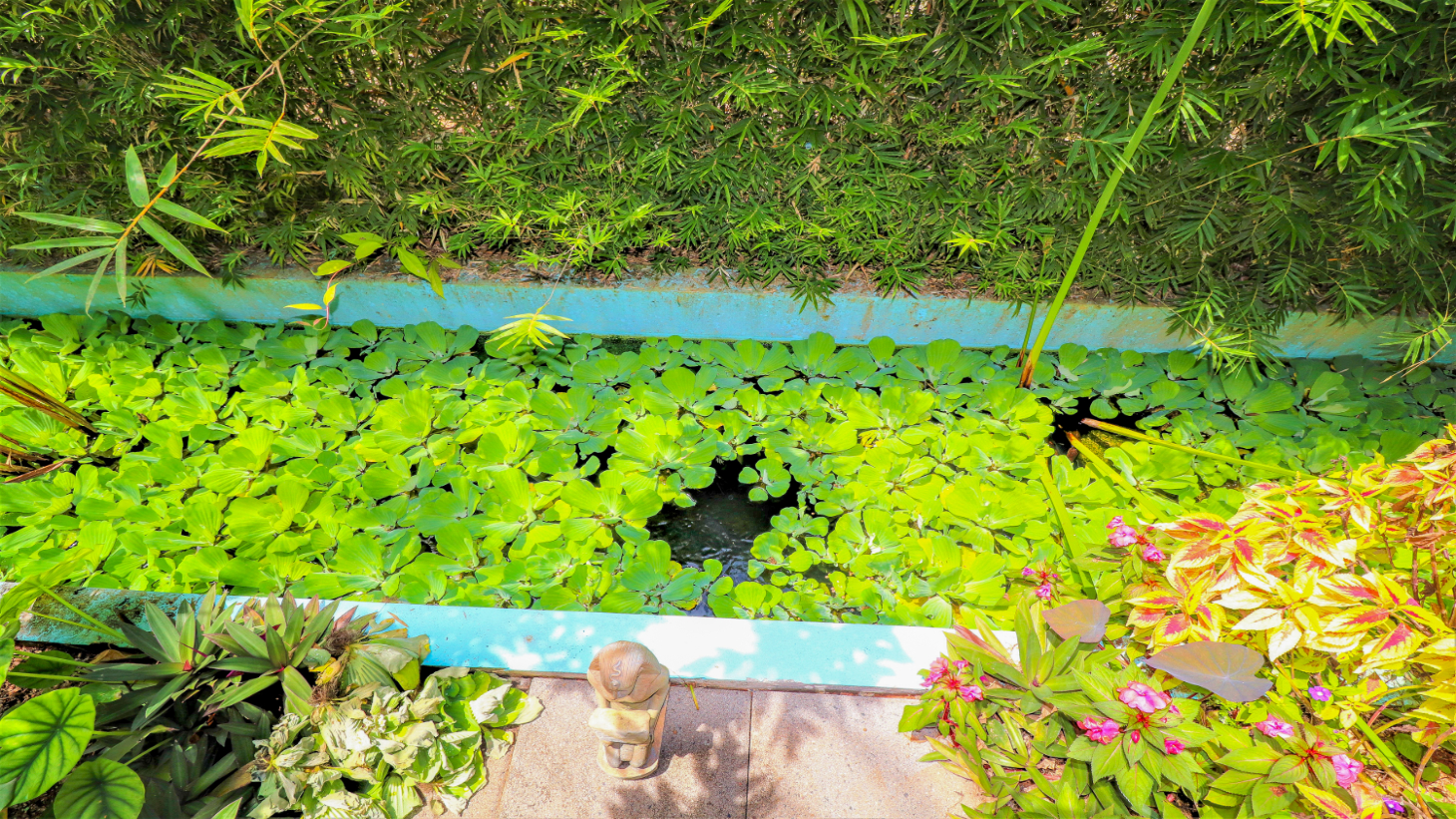 3 Bedroom Home With Ocean View Near Ojochal Tres Rios selected