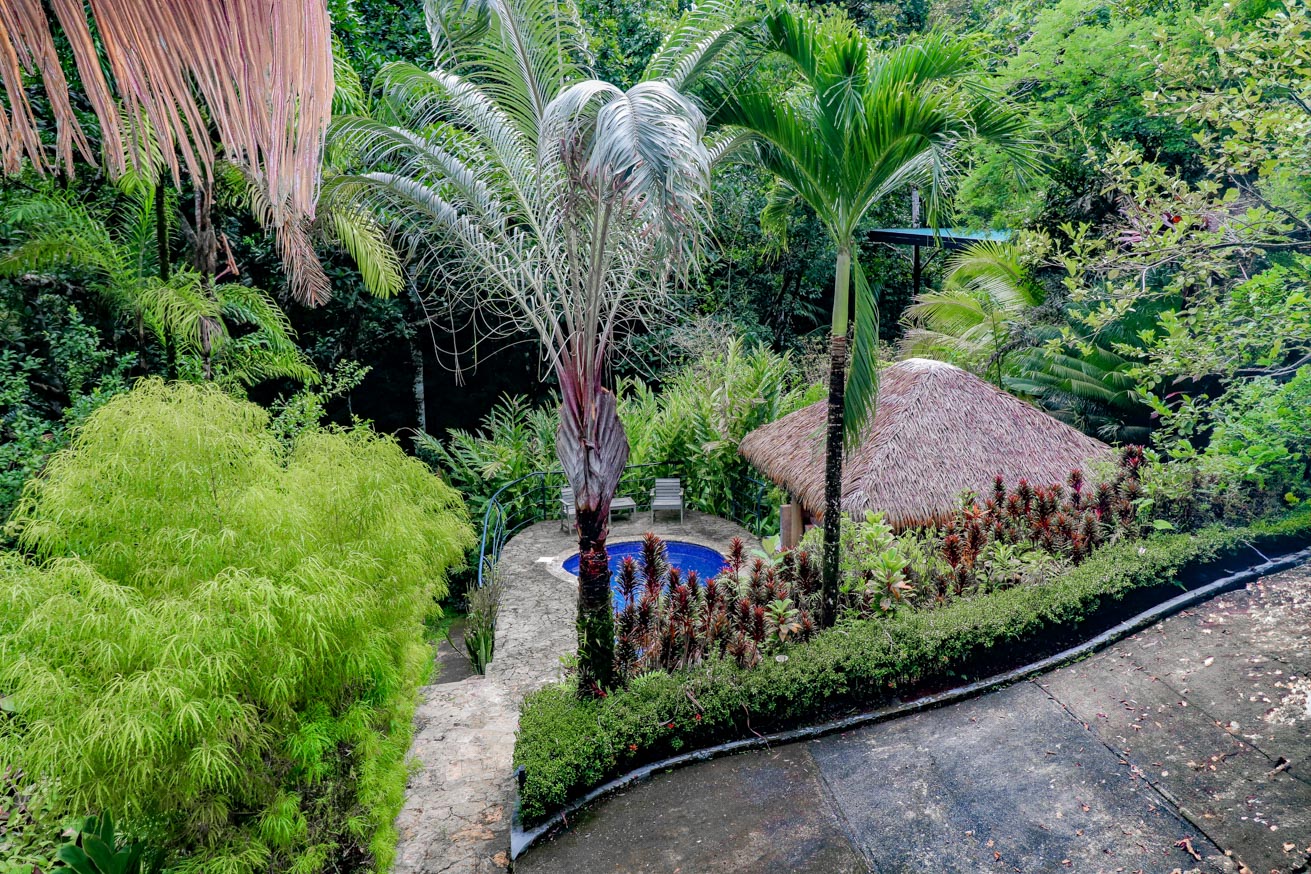 Jungle Sanctuary with Income-Generating Casitas, Creek, Pool & Ultimate Privacy in Ojochal selected