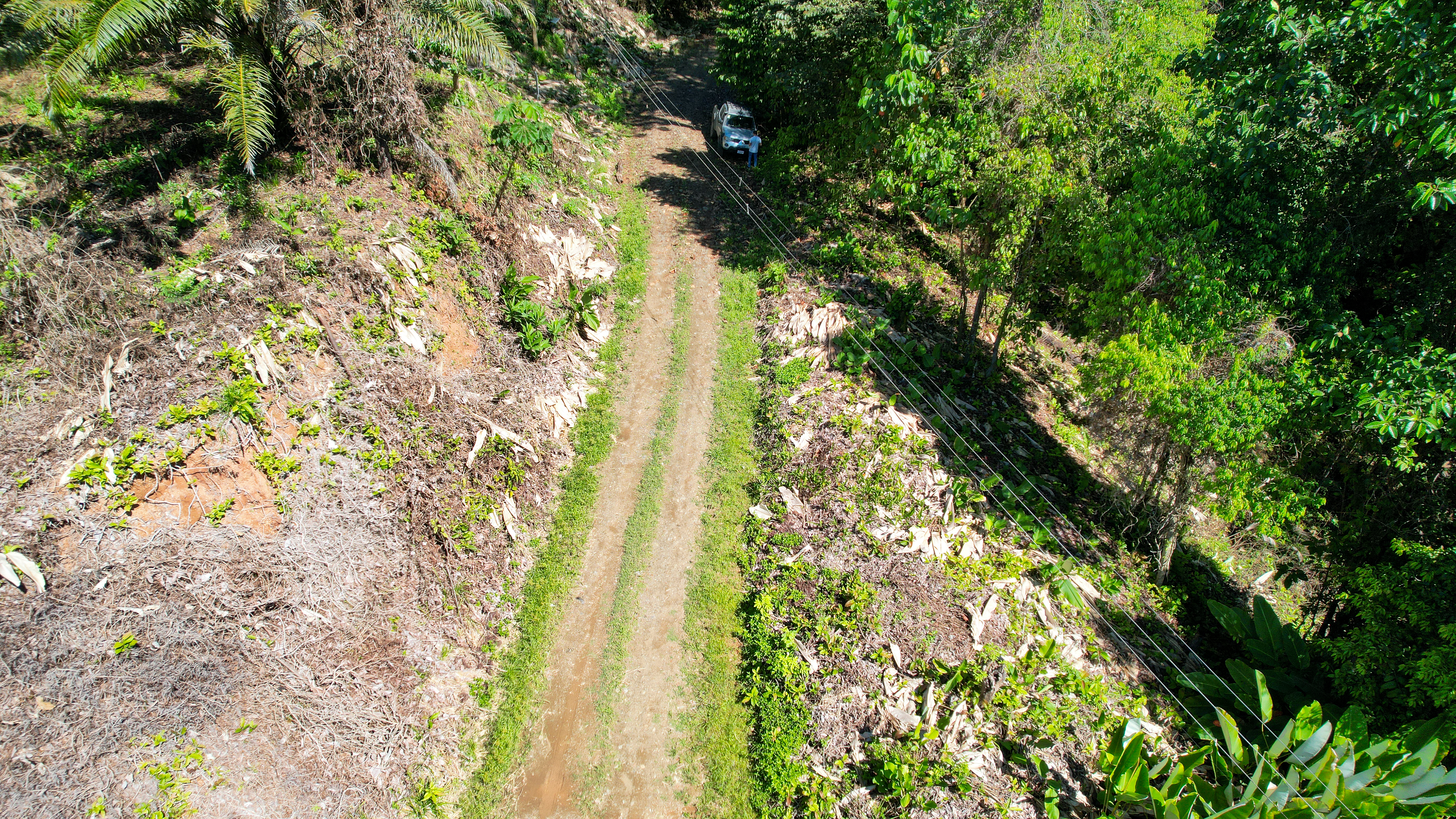 Tucked-Away Jungle Lot at the End of a Quiet Road — Ojochal, Costa Rica selected