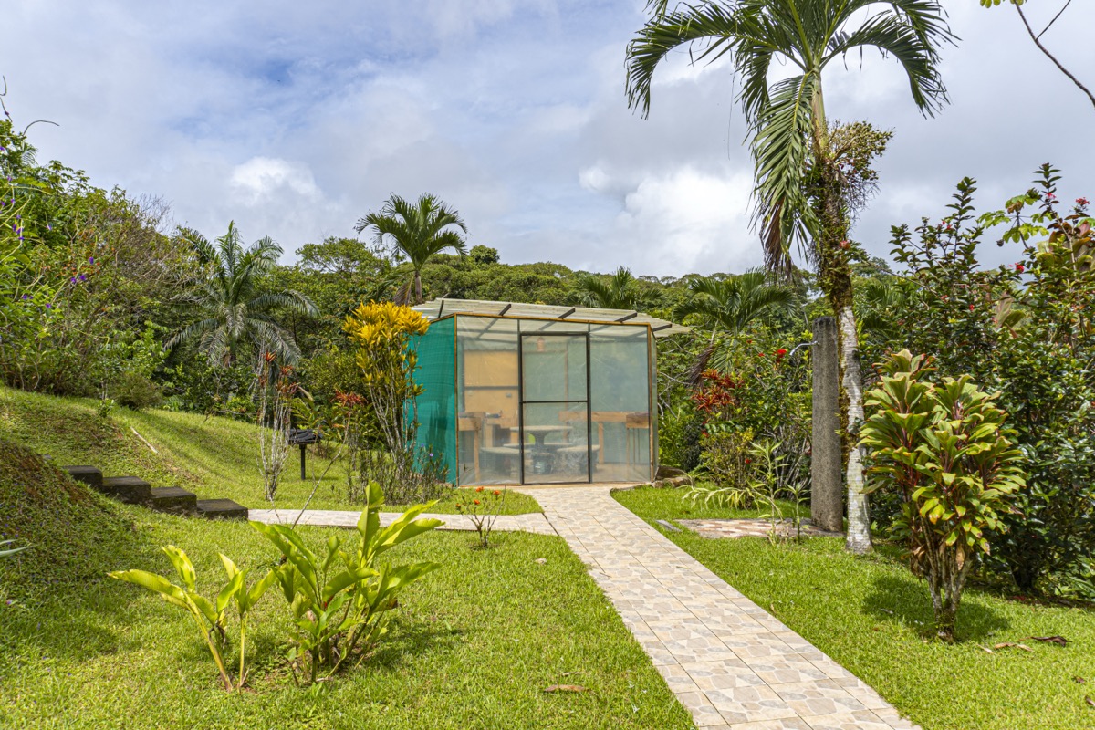 Serene Costa Rican Jungle Retreat with Waterfalls & Wildlife selected