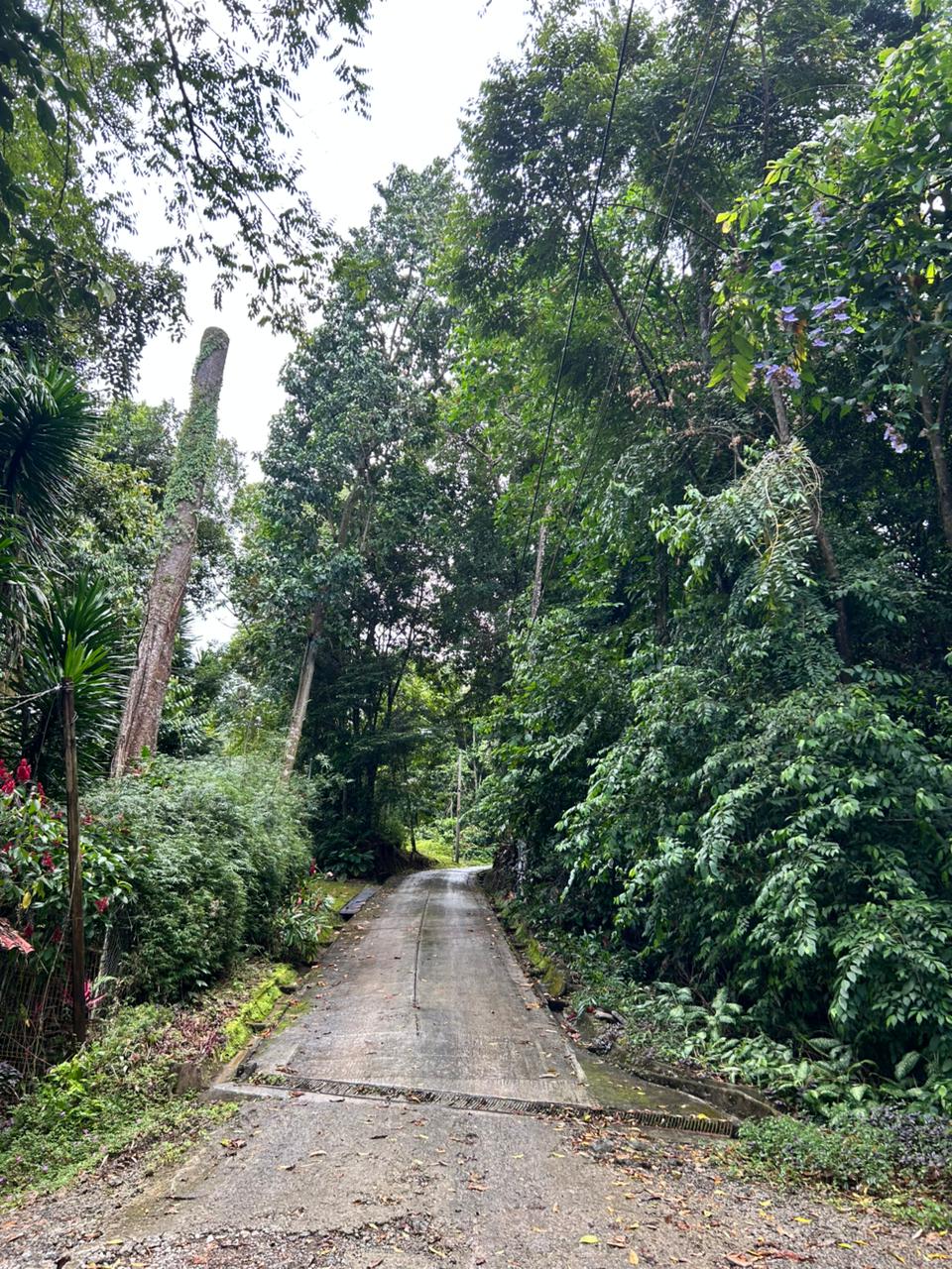 87 Acres of Natural Wonder and Endless Possibility in Ballena, Costa Rica selected