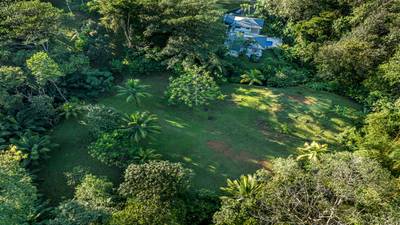 Development Parcel Central Uvita with River! image 5