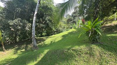 Development Parcel Central Uvita with River! image 2