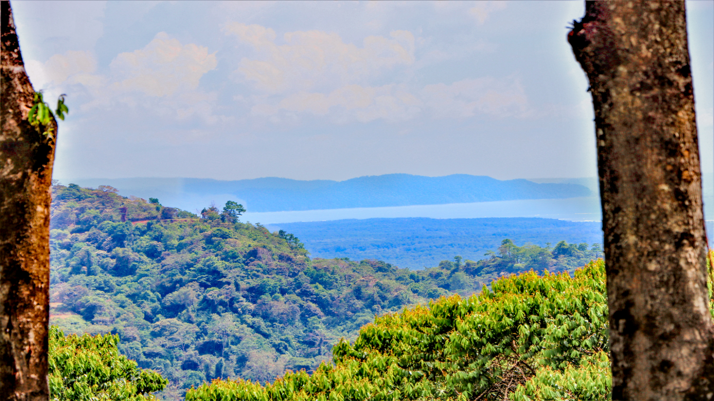 3 Bedroom Home With Ocean View Near Ojochal Tres Rios selected