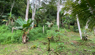 2.9 ACRES – Tons of Fruit Trees, 3 Bedroom Tico Home Plus Bodega In Tinamastes selected