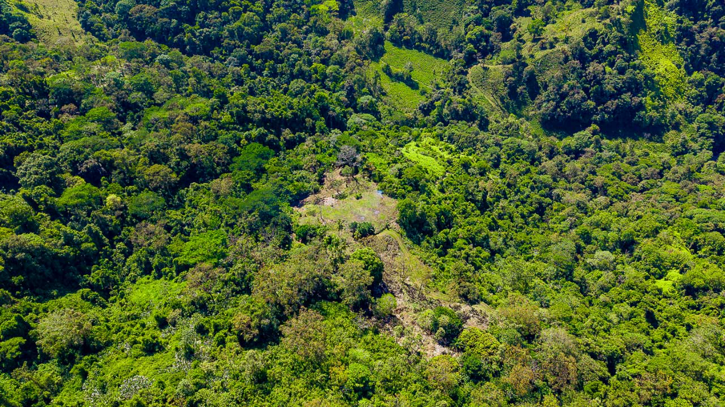 Whale Tail Views Luxury Waterfall Farm selected