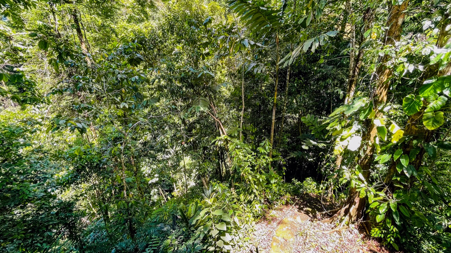 Nature Retreat Estate – Southern Pacific Zone, Costa Rica selected