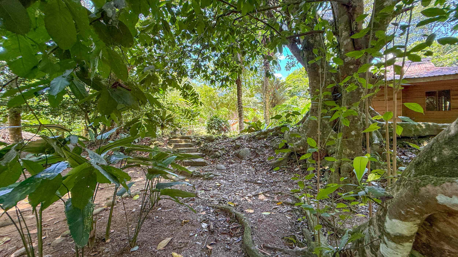 Gorgeous Jungle Hotel with 11 Beds including Owner/Manager Unit, Sparkling Pool & River Setting in Ojochal Costa Rica selected