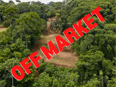 Gorgeous 2.92-Acre Build-Ready Lot in Fila Cacao Ridge, Platanillo image 1