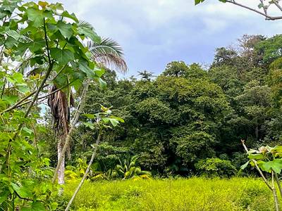 Rare Titled Beachside Development Opportunity Steps from Playa Chaman image 4