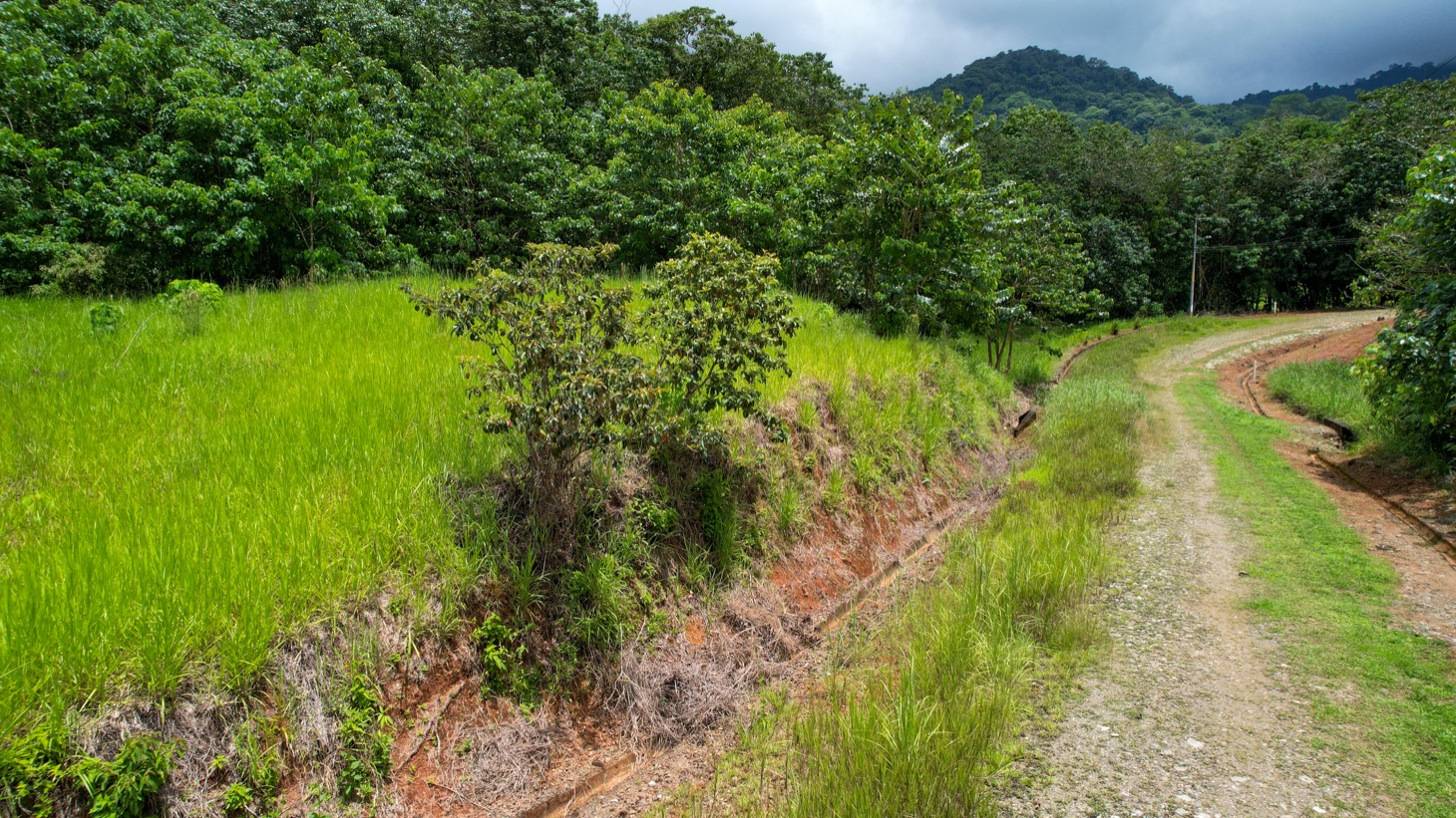 Prime Lot in Phase 11, Ojochal – Privacy, Views & Space to Create selected