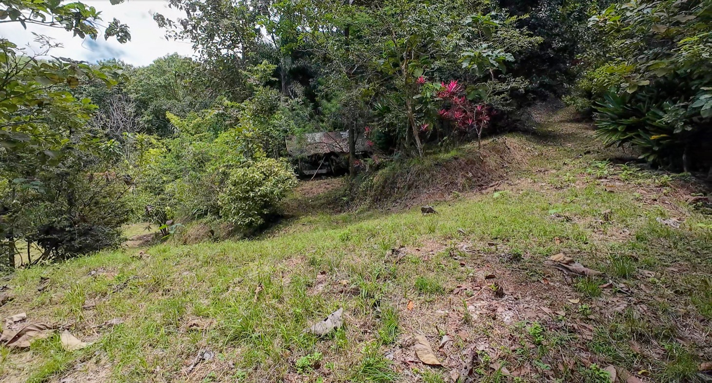 Stunning 16 acre Ocean View Property San Buenas, Costa Rica  selected