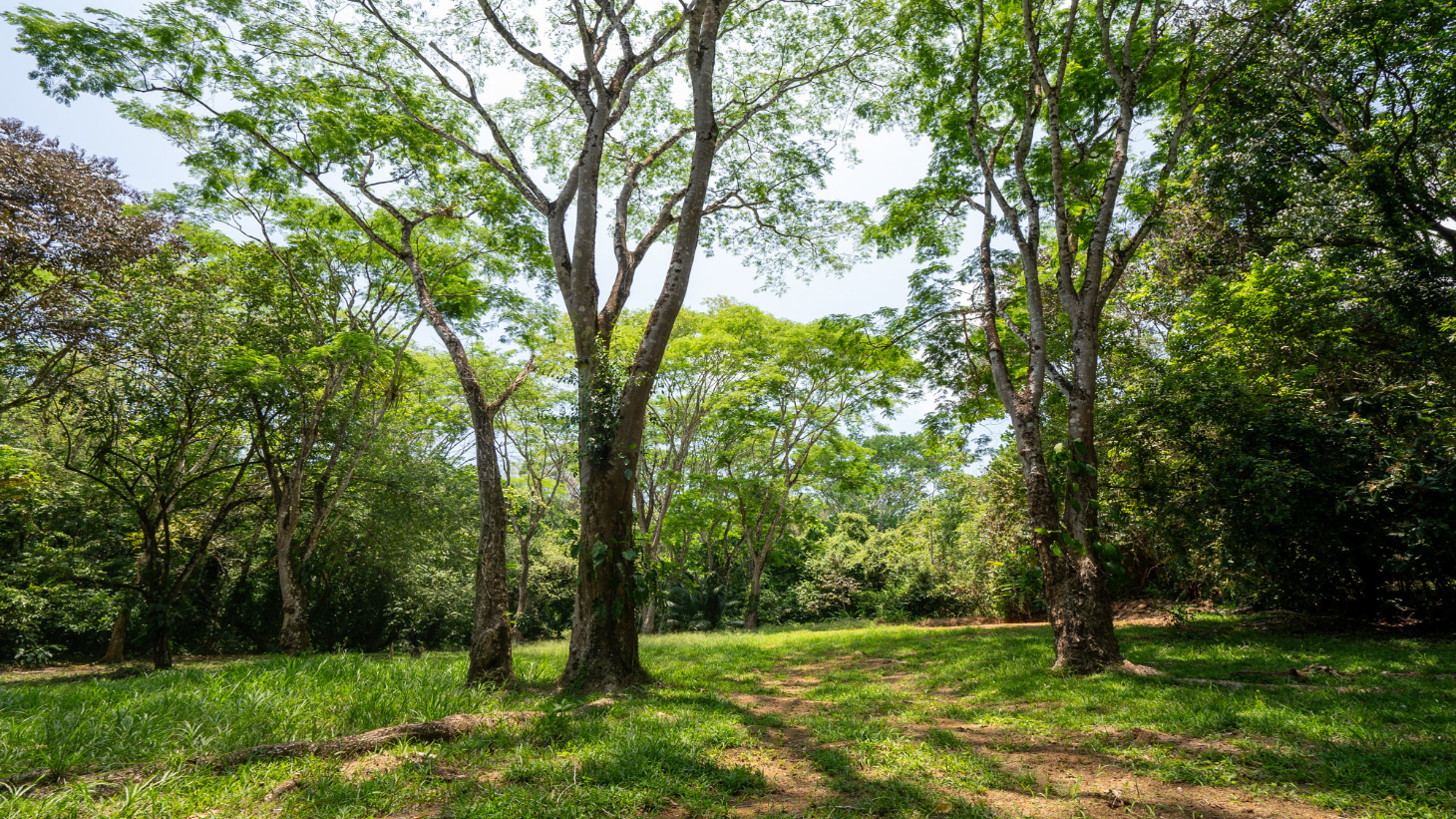 Rare 86-Acre Ocean View Estate Bordering Hacienda Barú – A Unique Opportunity for Conservation and Development selected