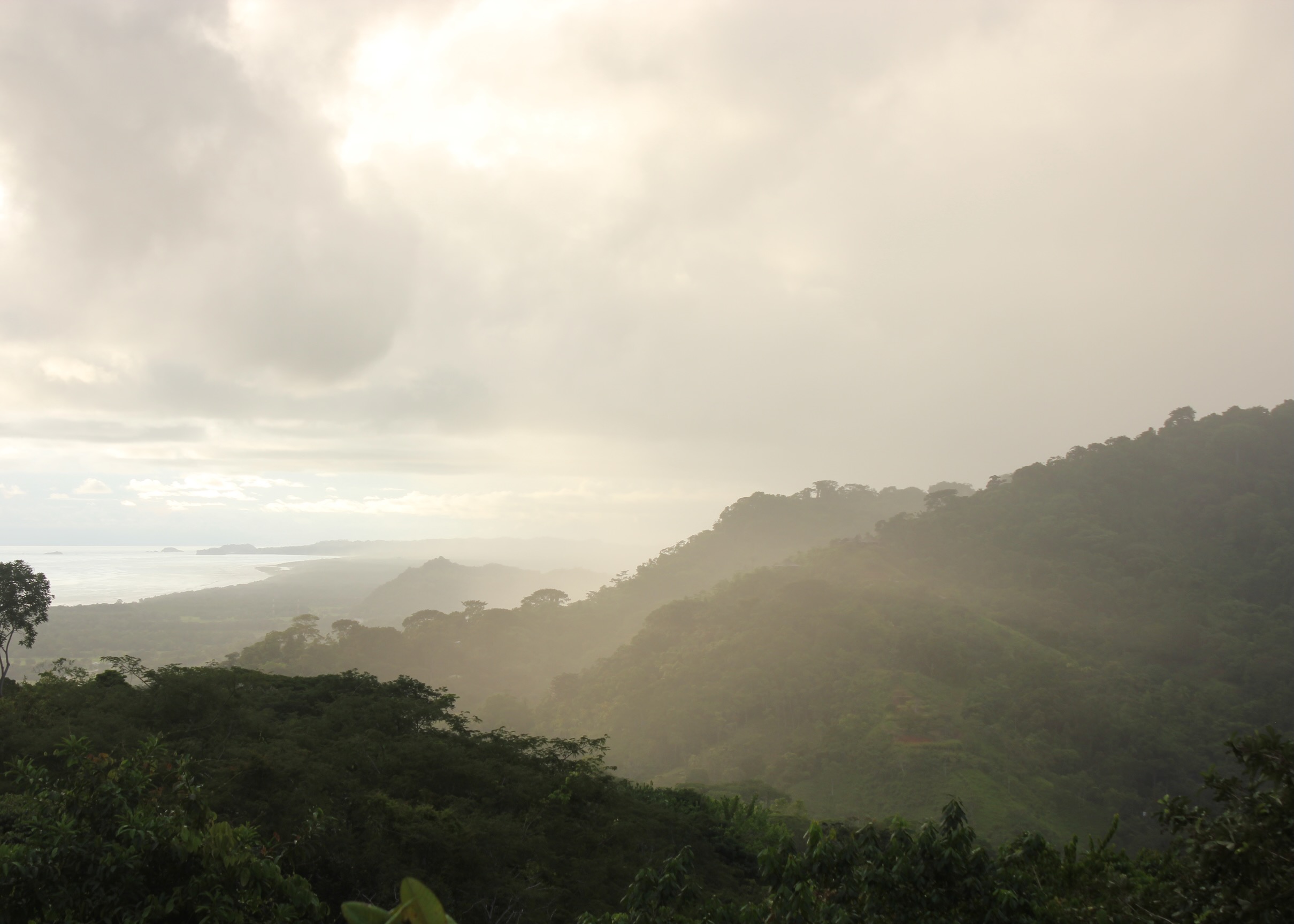 3 Bedroom Ocean View Home, Guest House, and Additional Building Site on 11.35 Acres selected