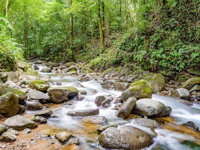 Wonderful Jungle Lot with a Crystal Mountain River Border in Ojochal image 5