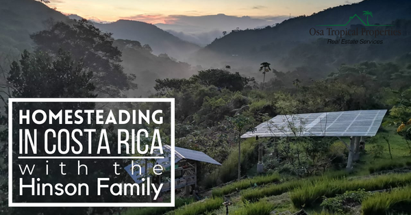 Homesteading in Costa Rica with the Hinson Family