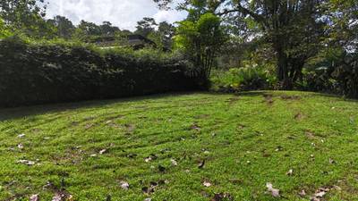 Build-Ready Ojochal Lot with Legal Water, Power & Private Setting image 2