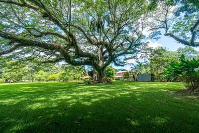 13.4 Acres of Prime Development Land with Direct Airport Access in Palmar Sur image 5