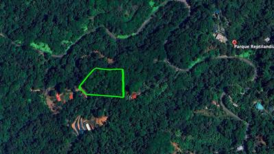 Build Ready Home Site with Easy Access in a Lush Rainforest Setting image 1