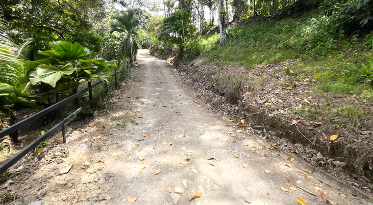 Multi-Home Income Estate Near Marino Ballena National Park selected