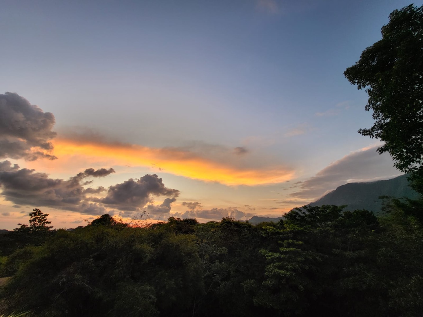 Ocean & Mountain View Property in Phase 11 of Ojochal selected