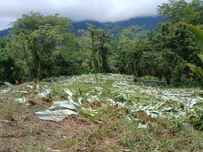 1.14-Acre Ocean View Estate Lot | Phase 5, Ojochal image 1