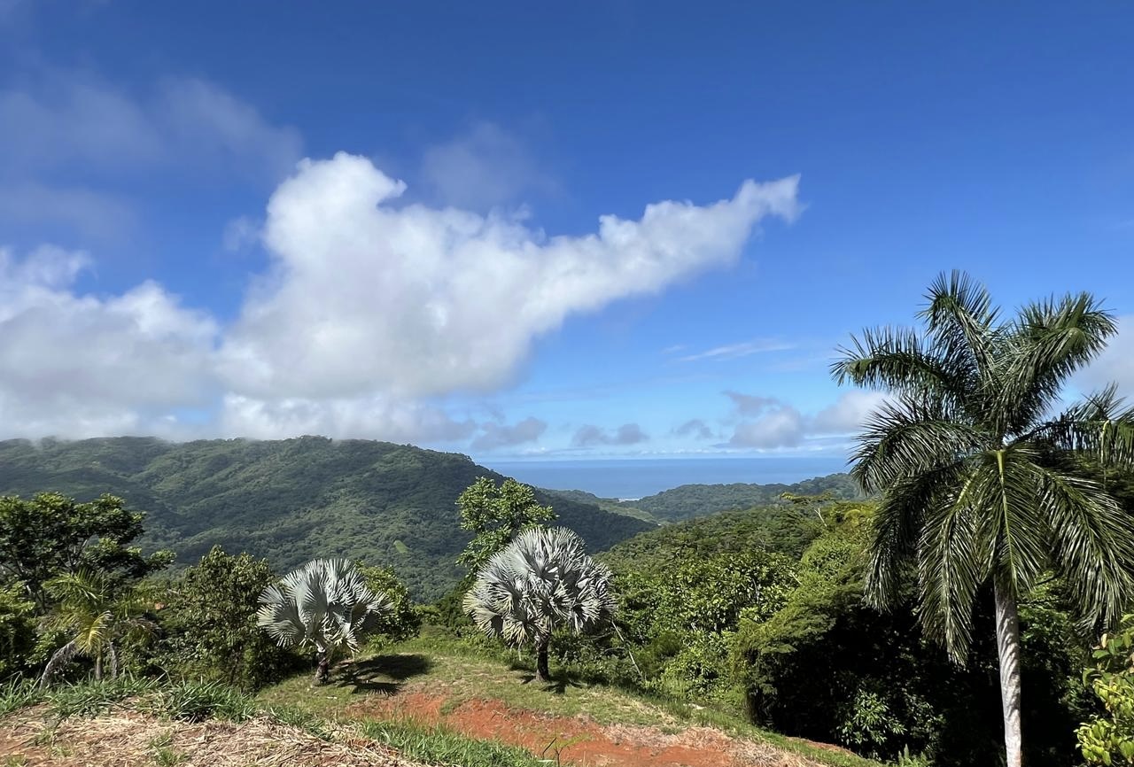 Elegant Mountain Retreat with Ocean and Jungle Views in a Private Gated Community selected