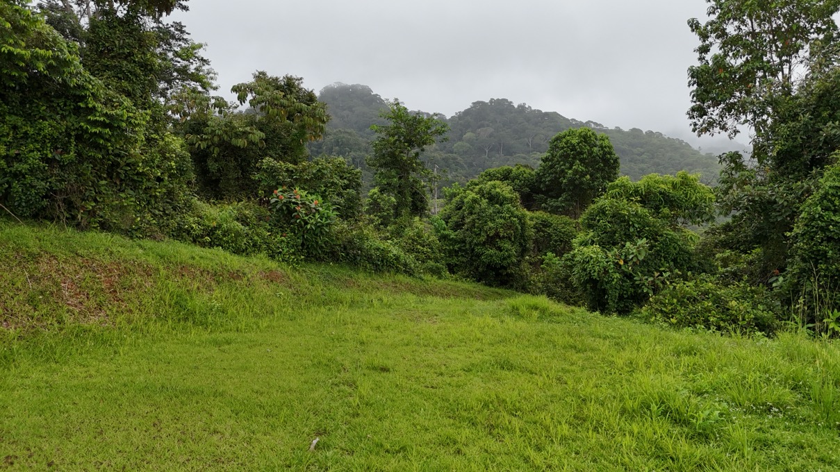 Spectacular Ocean View Property in Costa Azul, Tres Rios selected