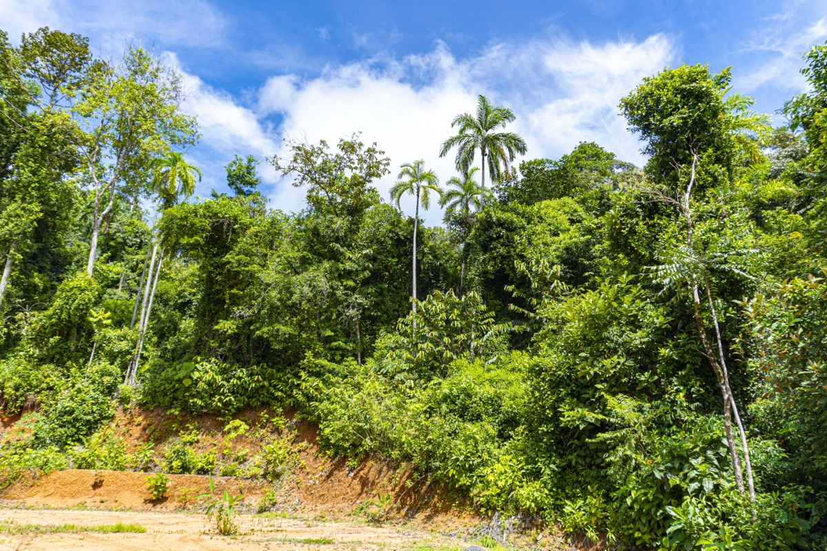 1.5 Acres with Mountain in San Buenas selected