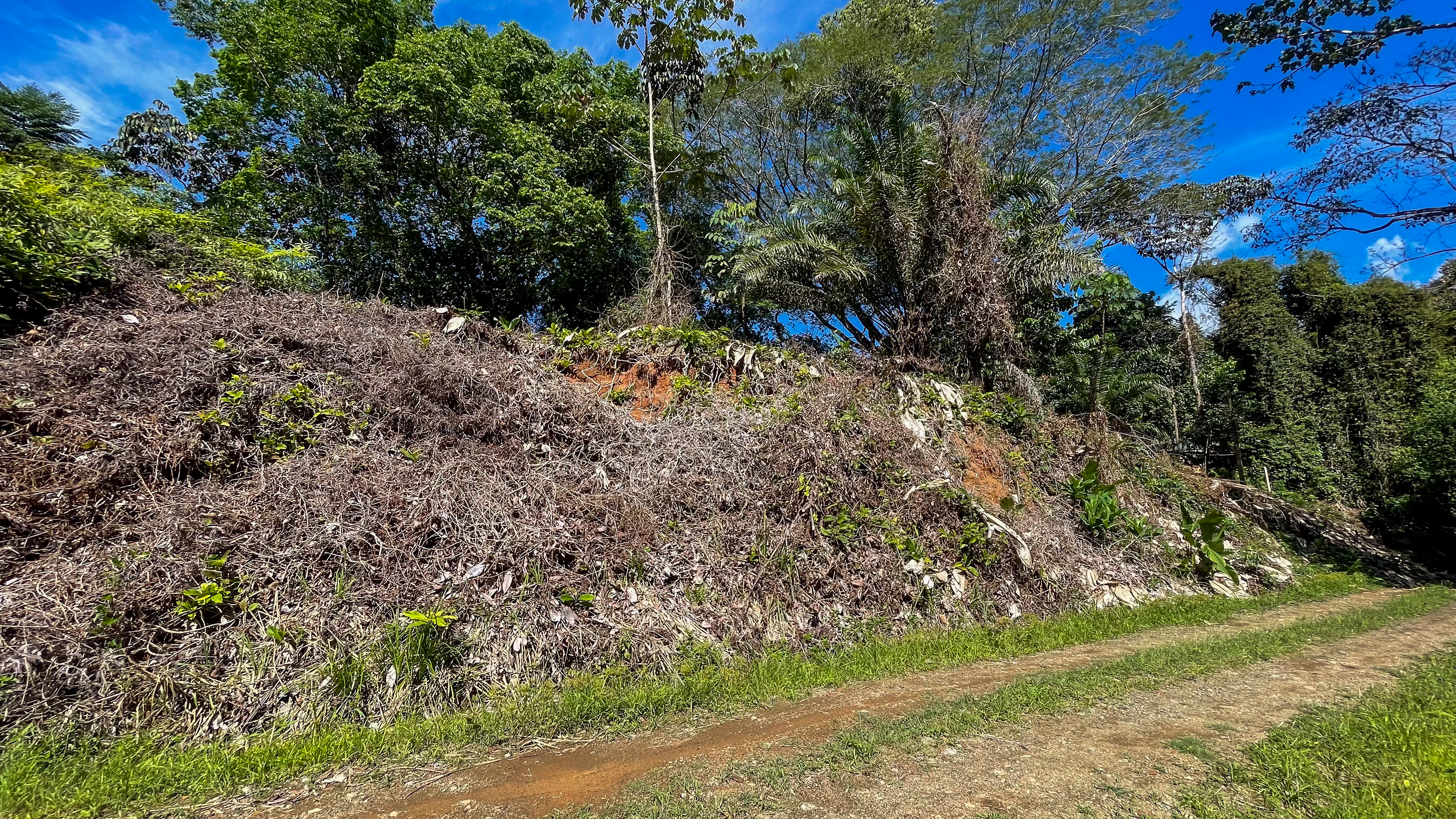 Tucked-Away Jungle Lot at the End of a Quiet Road — Ojochal, Costa Rica selected