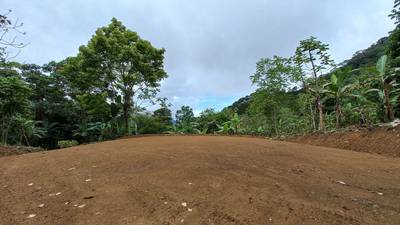 Mountain View Home Site with Seasonal Waterfall and Mature Fruit Trees image 3