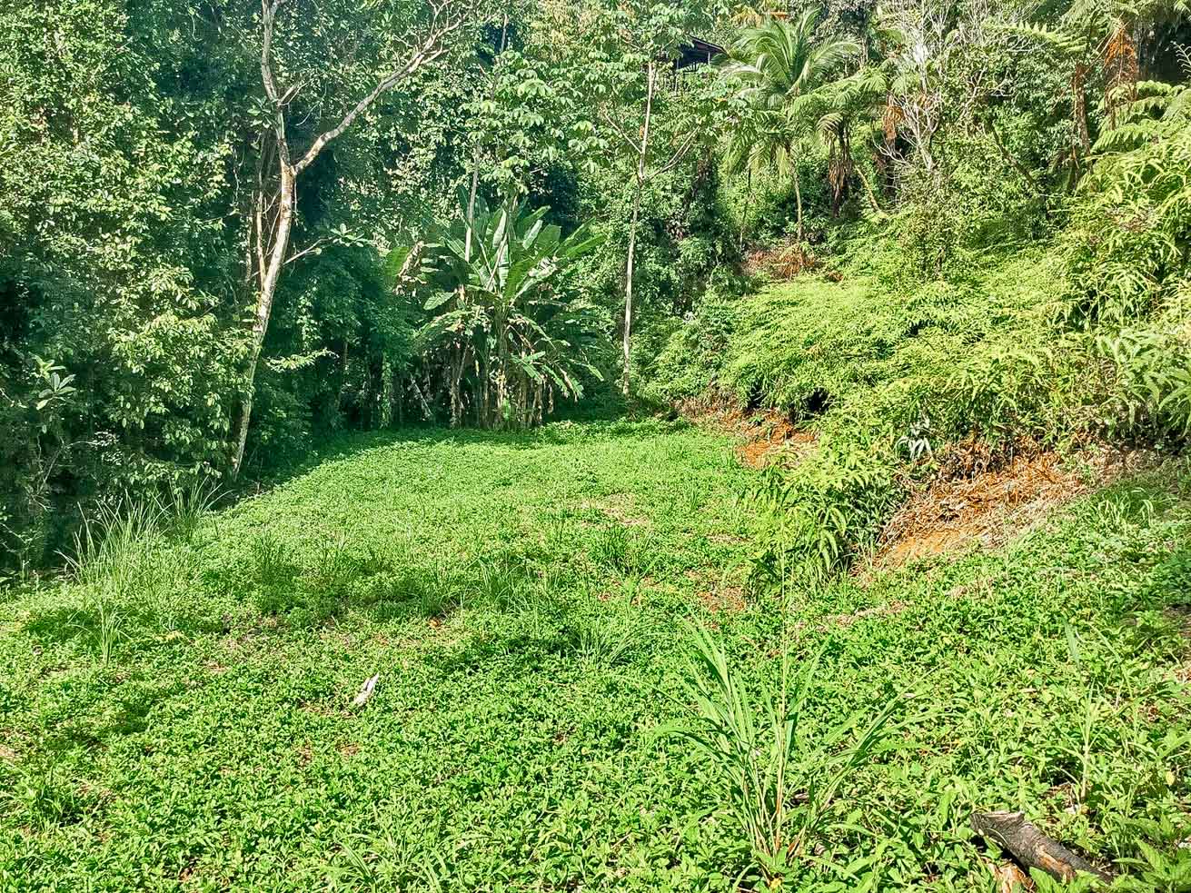 Ocean and Mountain View Retreat with Private River and Expansion Potential in Ojochal selected