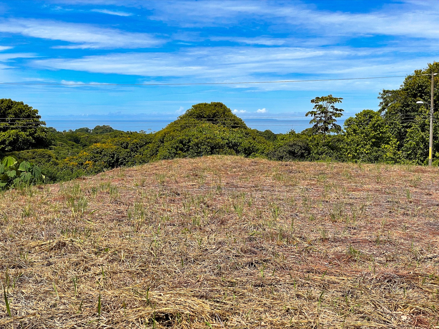 Spectacular Land for Sale in Ojochal's Premier Gated Community: Unparalleled Views, Size, and Security! selected