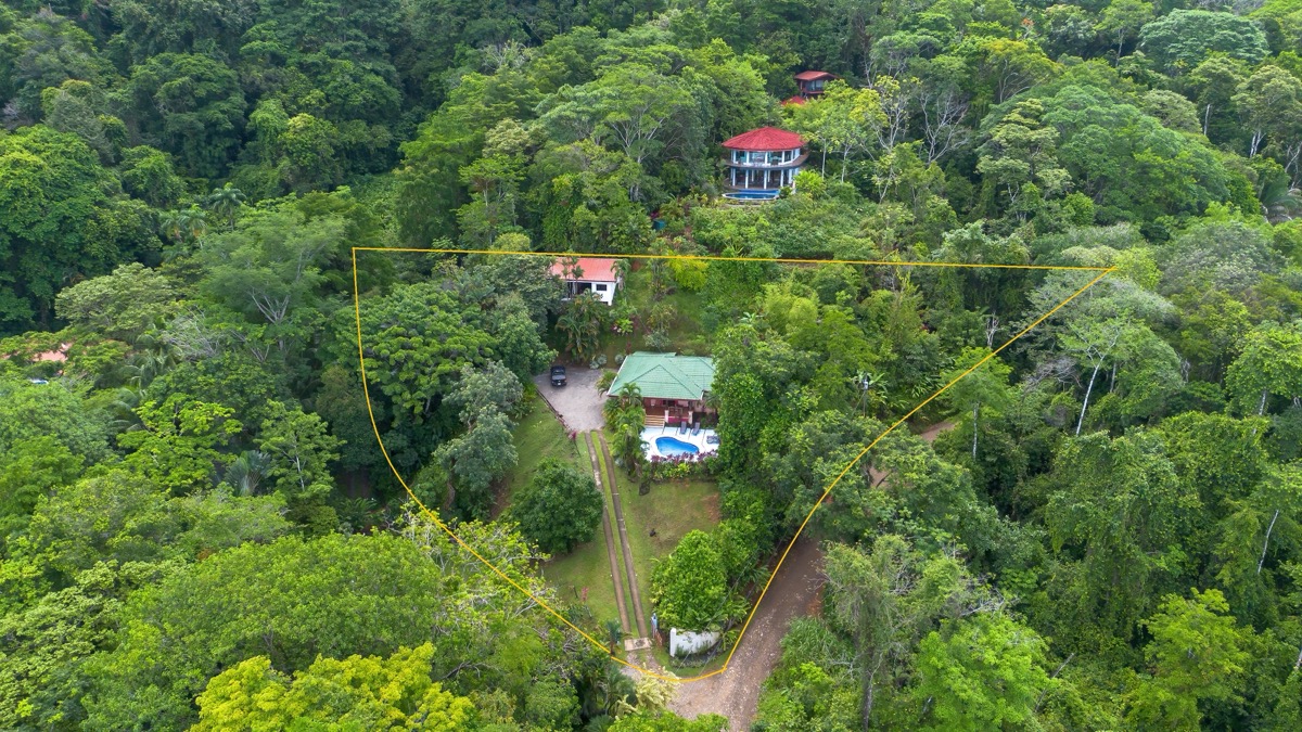 Dual-Income Opportunity Surrounded by Jungle Paradise in Escaleras selected