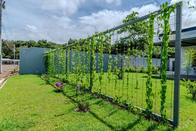 Modern 3-Bedroom Home at the End of a Quiet Road in Uvita image 2