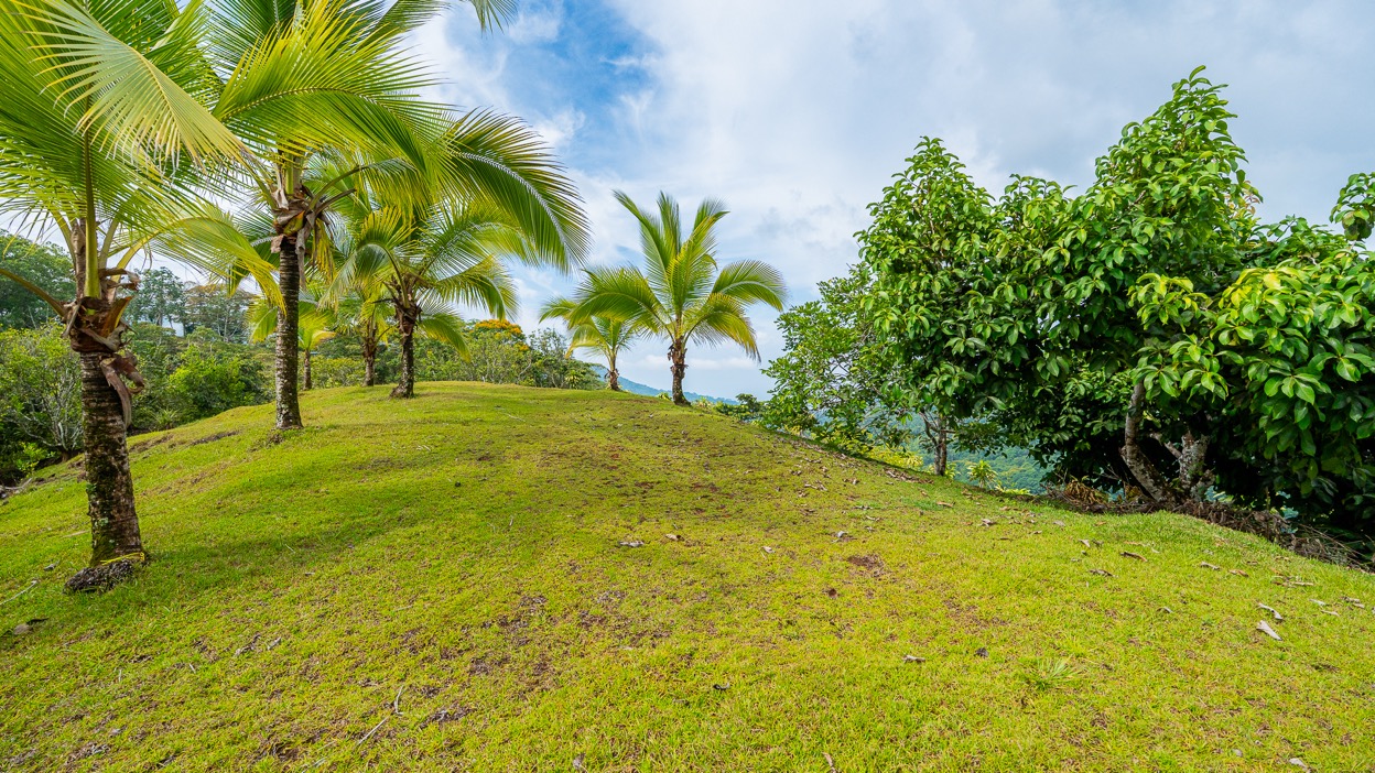 Ocean View Development Property with Waterfall Vista — 14.83 Acres in San Luis de Morete, Near Uvita selected