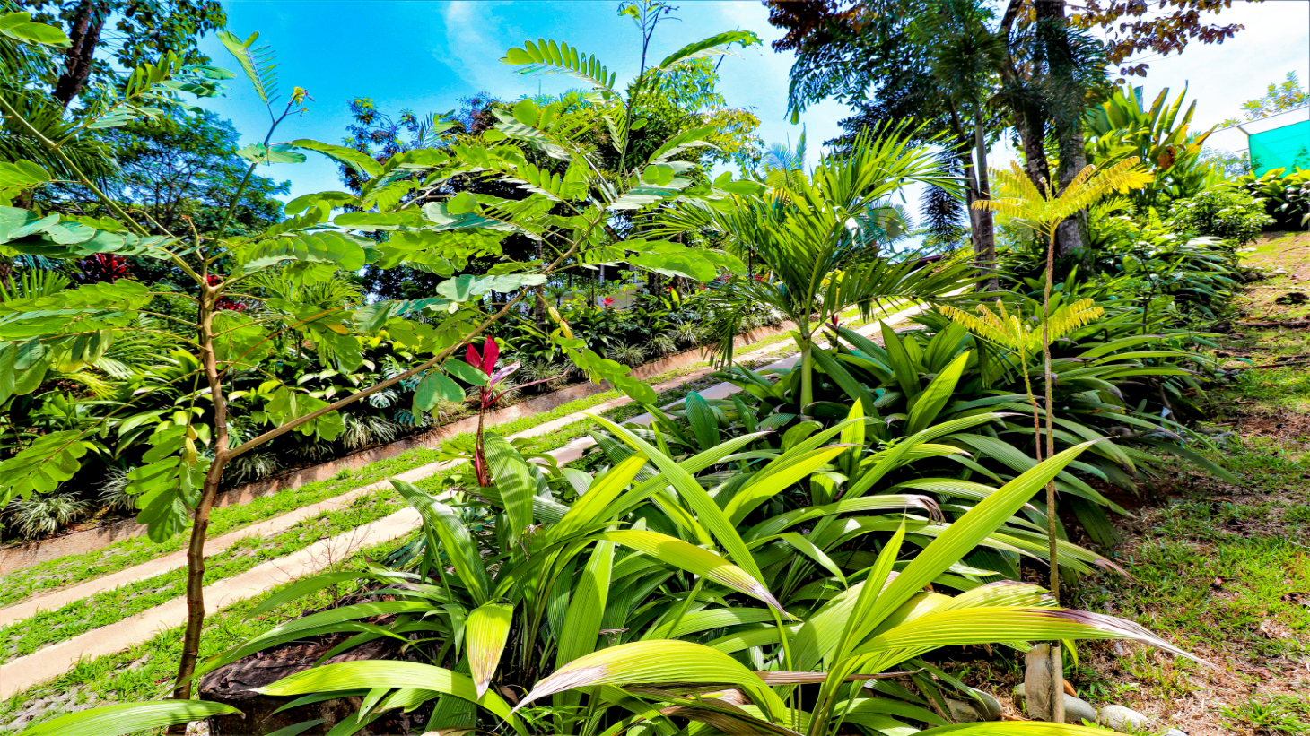 3 Bedroom Home With Ocean View Near Ojochal Tres Rios selected