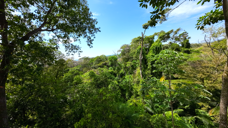 Multi-Home Income Estate Near Marino Ballena National Park selected