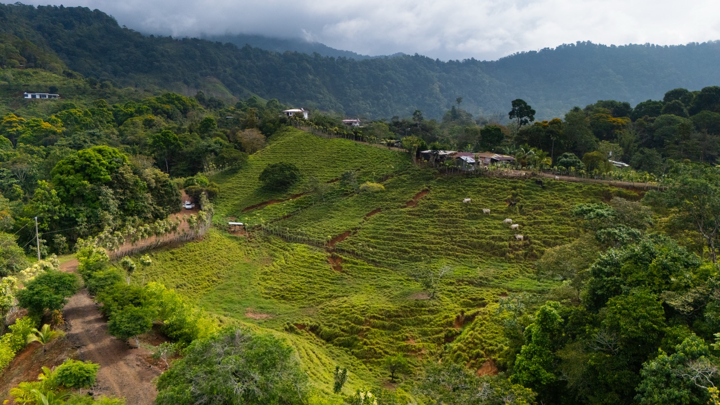 Ocean View Development Property with Waterfall Vista — 14.83 Acres in San Luis de Morete, Near Uvita selected