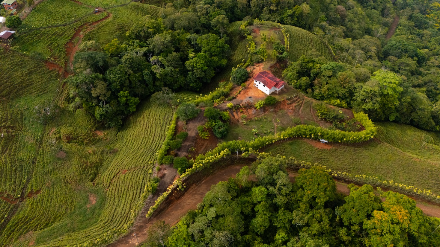 Ocean View Development Property with Waterfall Vista — 14.83 Acres in San Luis de Morete, Near Uvita selected