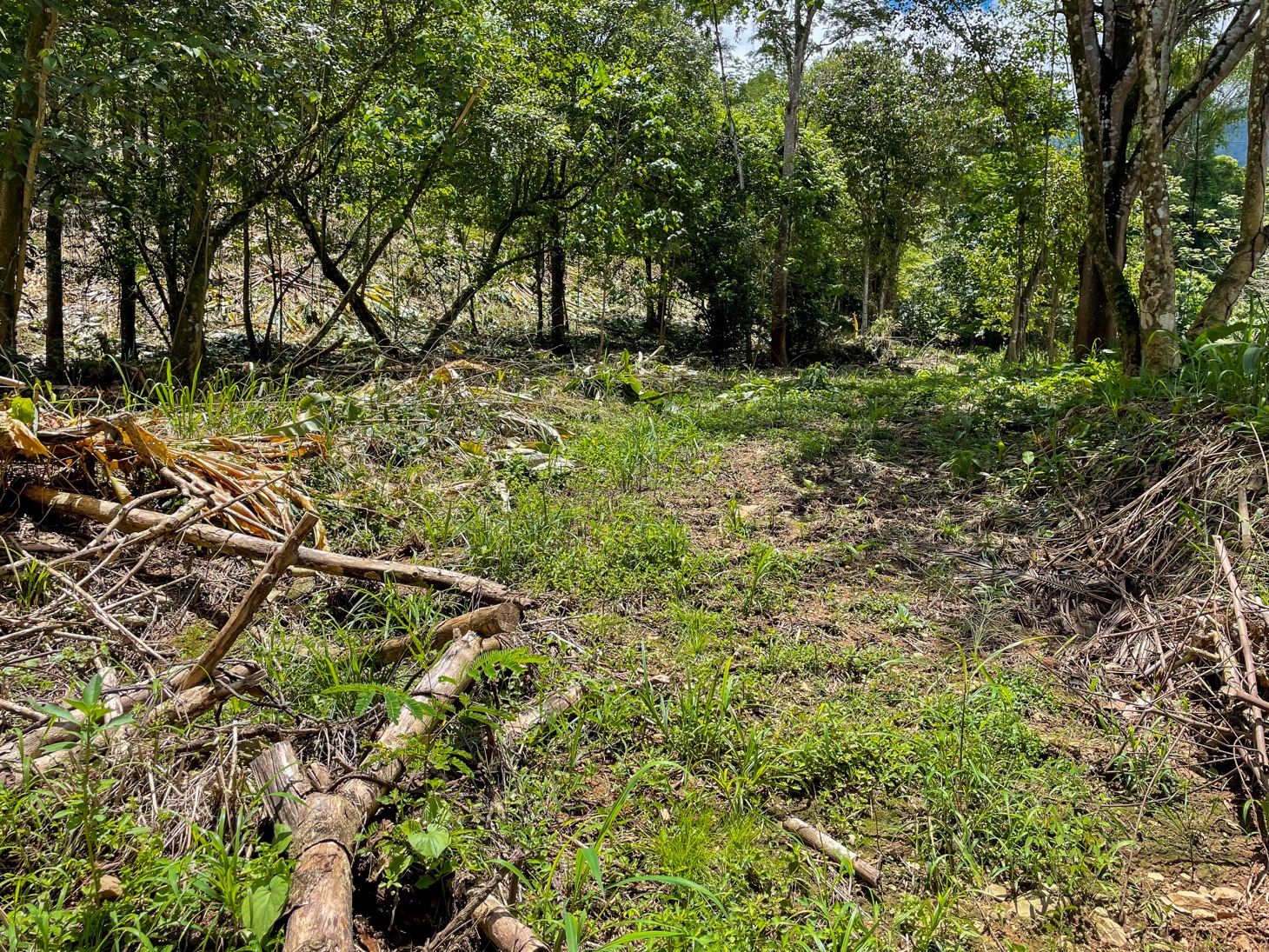 Your Private Mountain Sanctuary Awaits selected