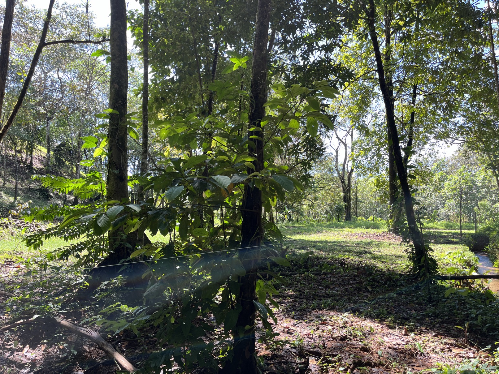 Flat Lot in Tortuga: Your Dream Project Awaits selected