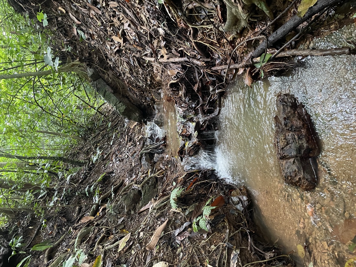 61.78 Acres of Oceanview Bliss with Private Waterfall in Tres Rios selected