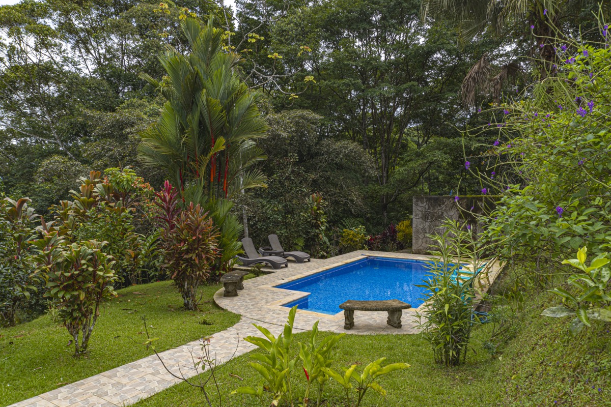 Serene Costa Rican Jungle Retreat with Waterfalls & Wildlife selected