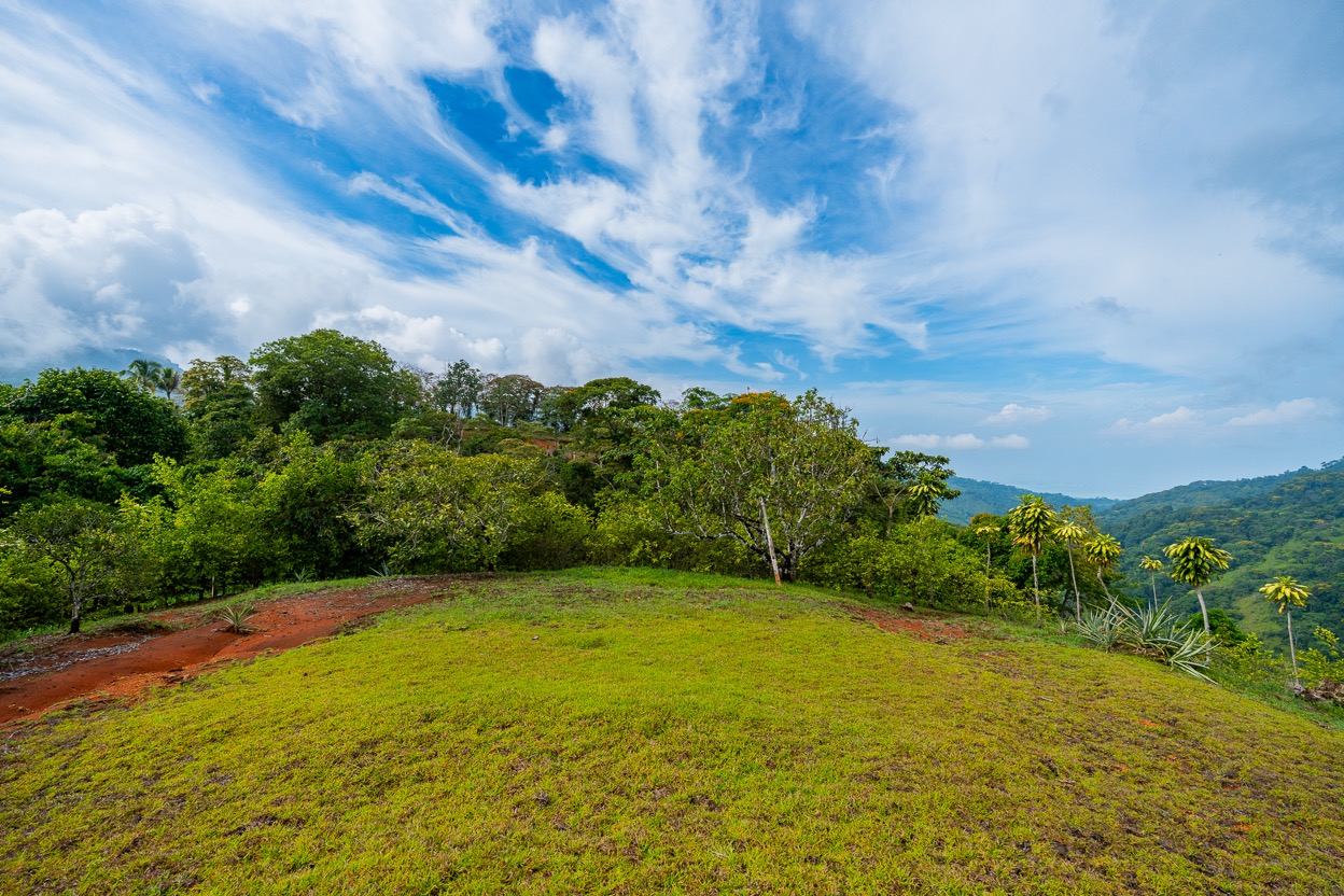 Ocean View Development Property with Waterfall Vista — 14.83 Acres in San Luis de Morete, Near Uvita selected